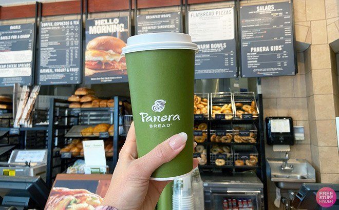 A Person Holding Panera Drink